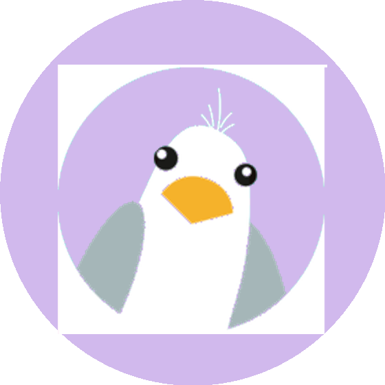 Freche Möwe Möwe