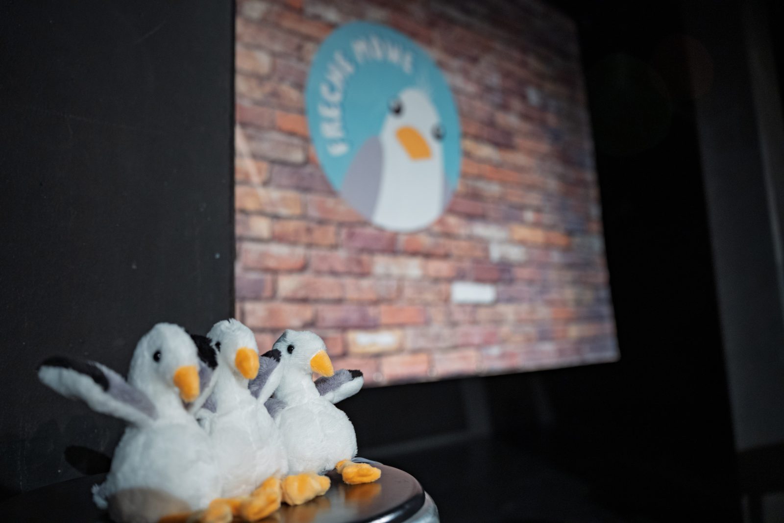Das Freche-Möwe-Maskottchen als Plüschtier
